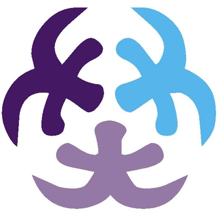 Servicios que ofrecemos